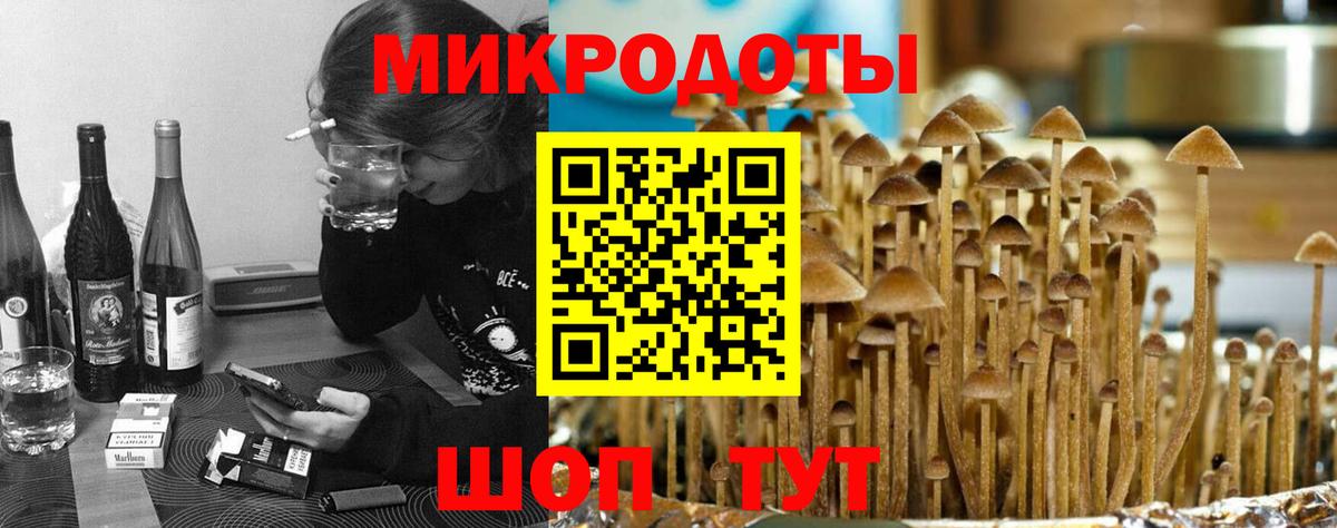 Южно-Сахалинск  Псилоцибиновые грибы Psilocybe  Вход с VPN  Галлюциногенные грибы ЛСД 